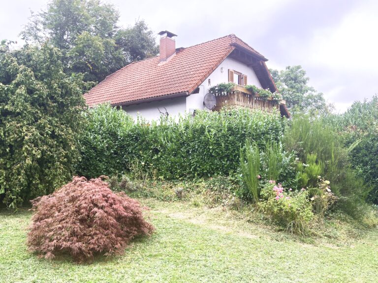 Einfamilienhaus- Münchwald