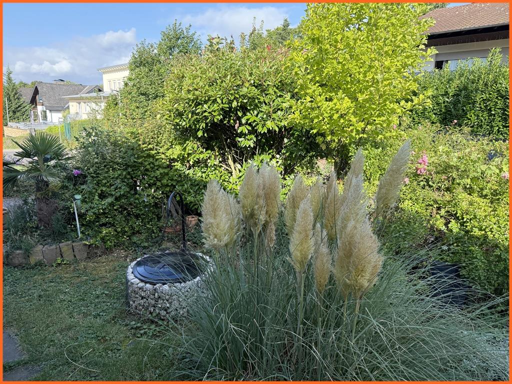 Nach dem Invest werden Sie eine Lageperle in Aussichtslage besitzen! - Garten (8346)