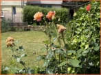 Gartenidyll