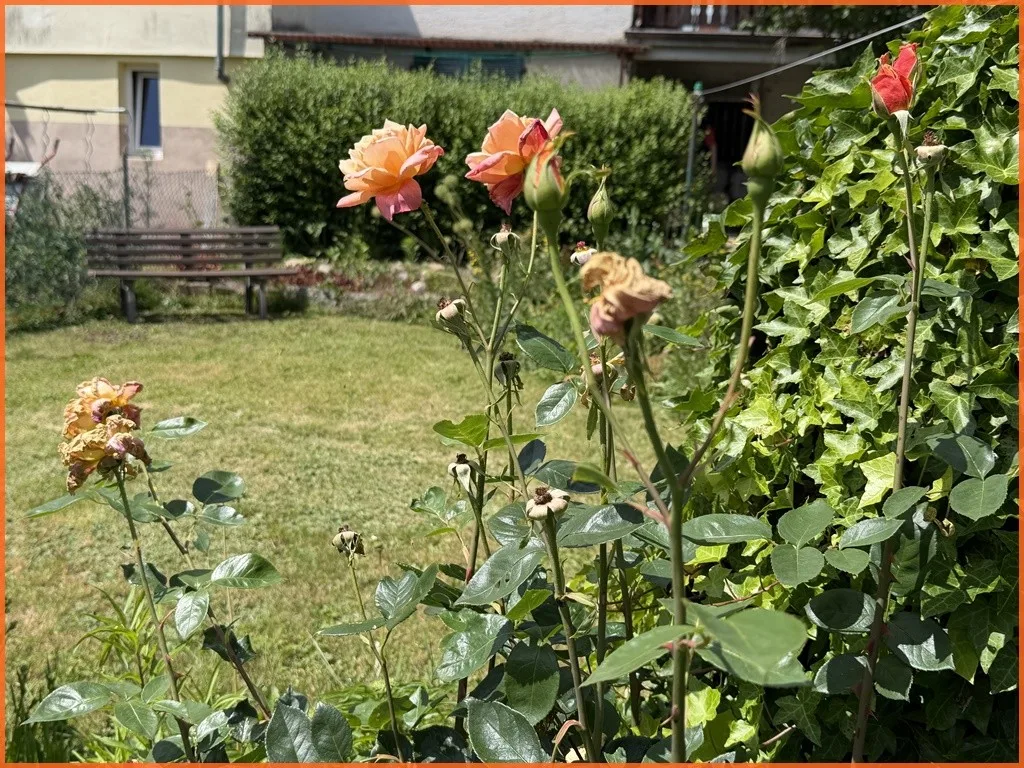 Reserviert! Klein aber mein: 90 m² großes, gepflegtes Reihenhaus mit 625 m² Südgrundstück! - Gartenidyll (10838)