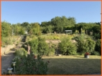 Garten - Ein Zuhause zum Verlieben – Stilvoller Bungalow in ruhiger, traumhafter Wohnlage!