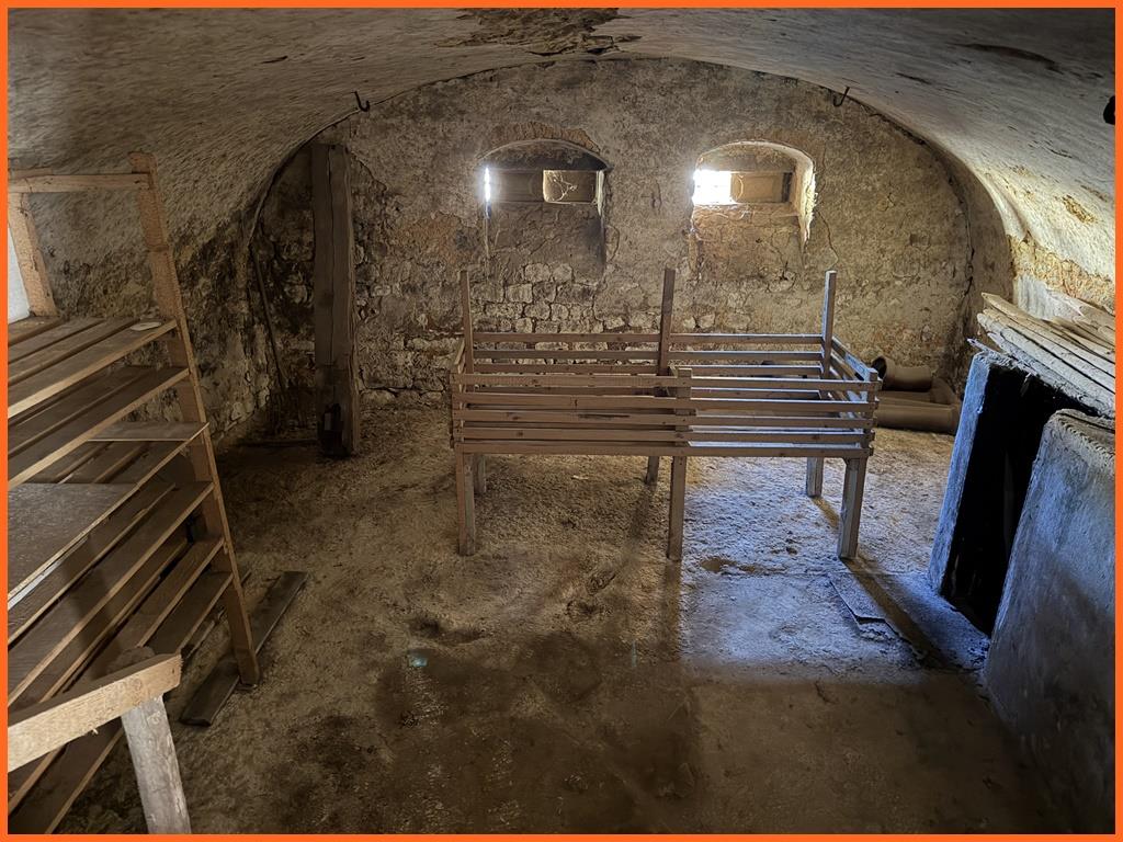 Ein Anwesen mit Seele-denkmalgeschützte fränkische Hofreite voller Geschichte und Möglichkeiten! - Gewölbekeller (8747)