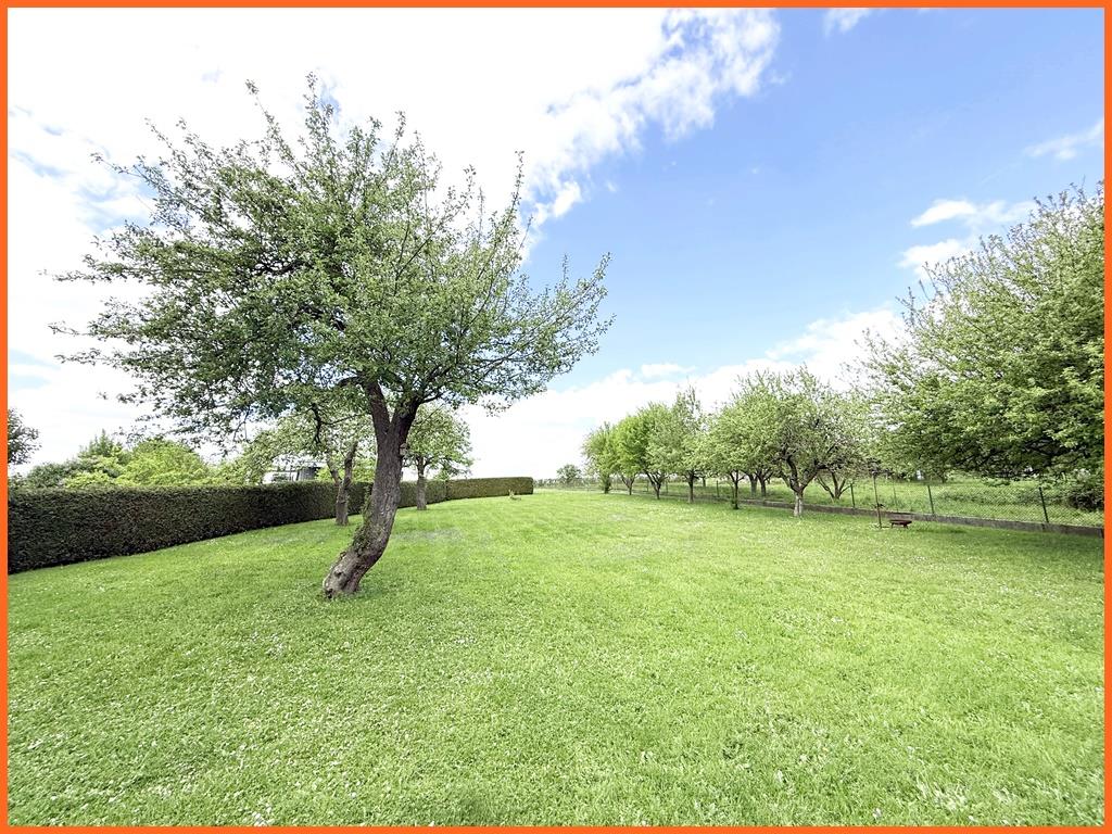 Für Handwerkerbetriebe, Selbstversorger oder Großfamilien, die die Freiheit lieben! - Garten (7524)