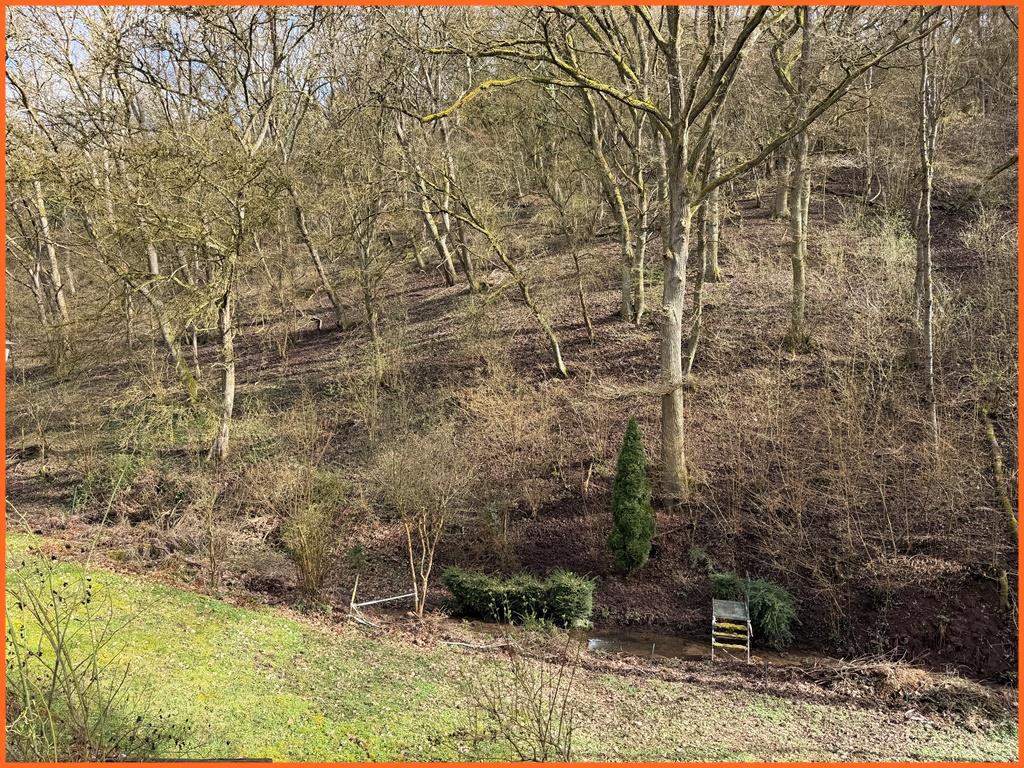 Natur pur: 270 m² Wohnfläche und 2615 m² Grundstück mit eigenem Wald! - Garten (8495)