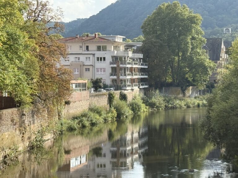 4-Zimmer-Wohnung in Bad Kreuznach